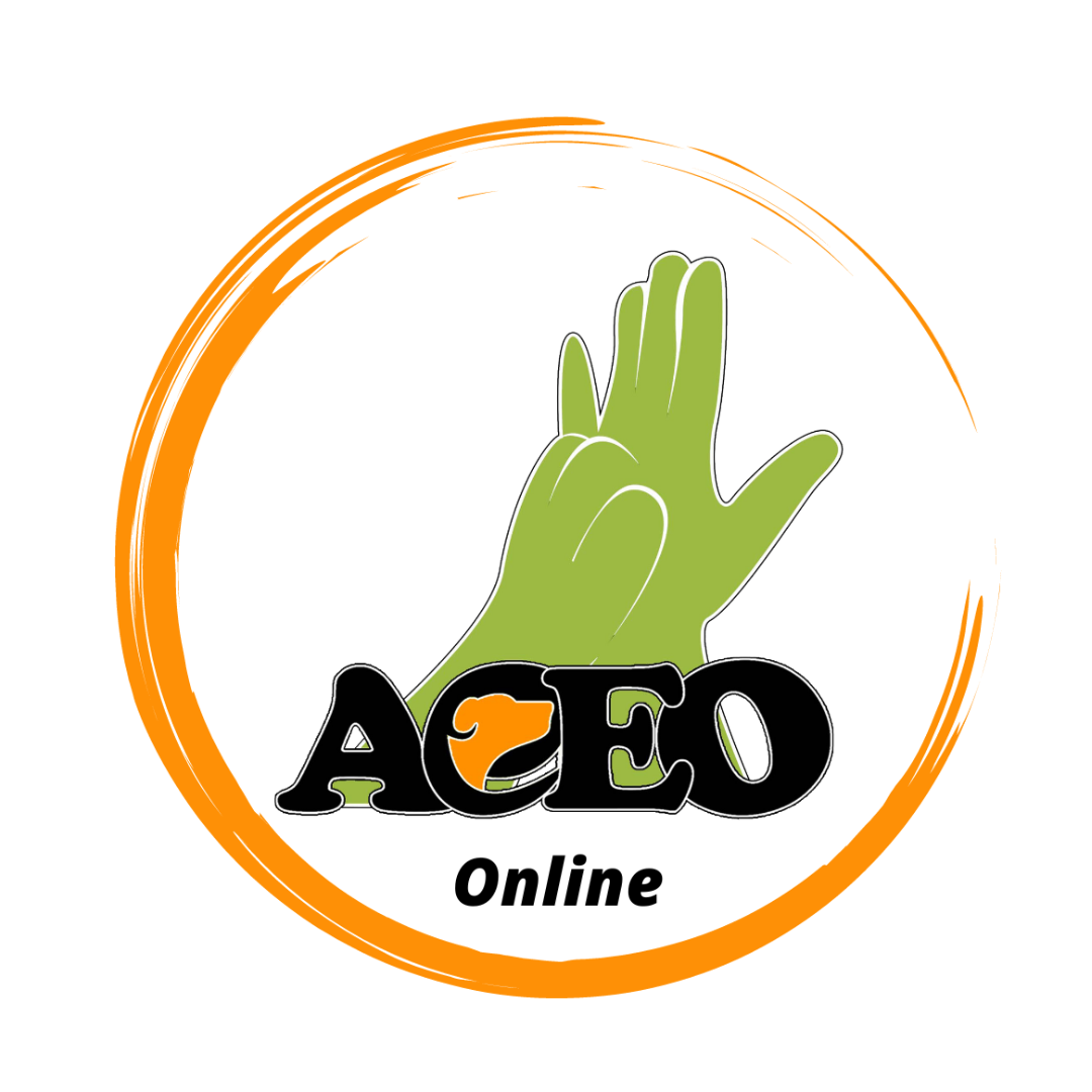 ACEO Online